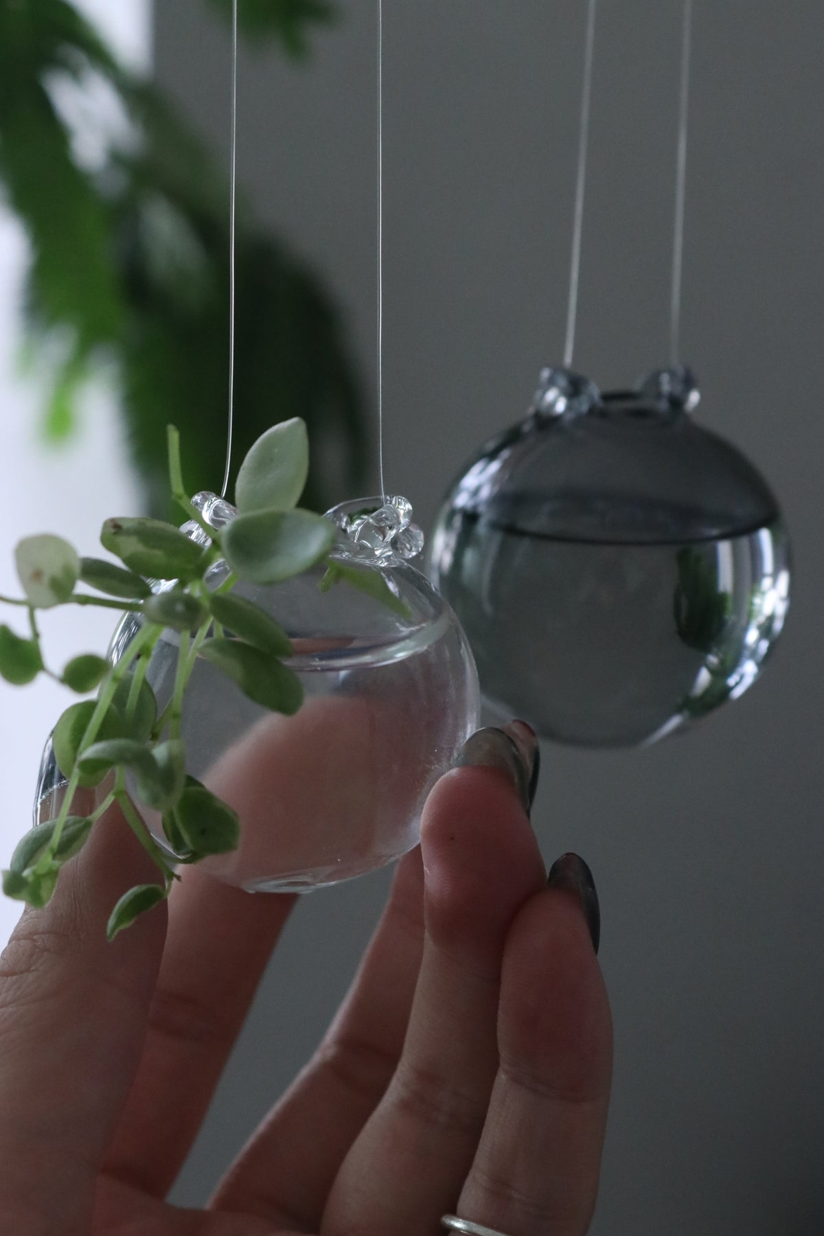 Airy - エアリー -