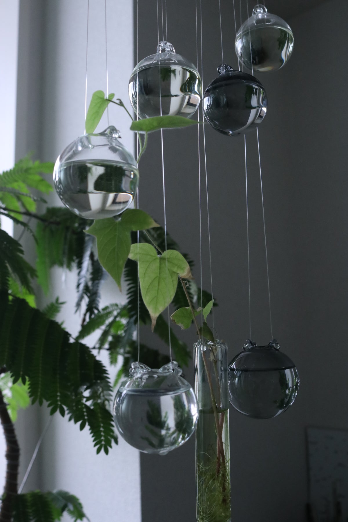 Airy - エアリー -