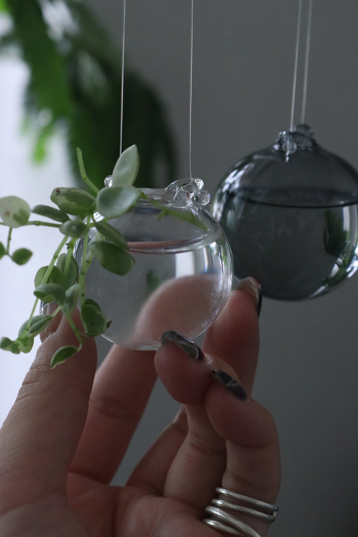 Airy - エアリー -