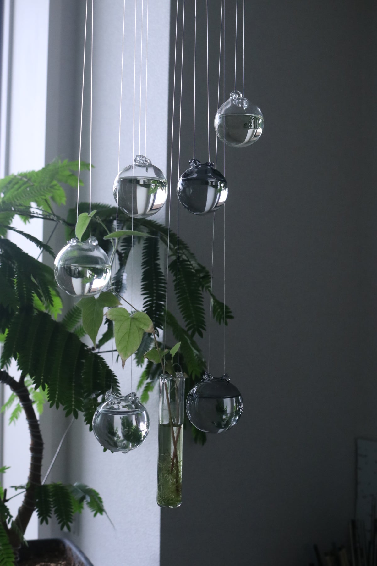 Airy - エアリー -